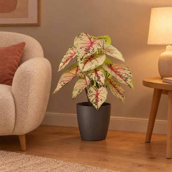 Künstliches Caladium Weiß-Rosa, Höhe ca. 57 cm