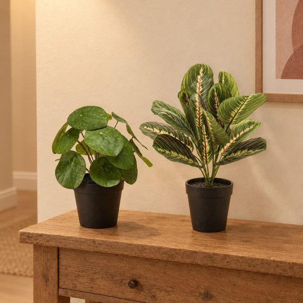 Kleines Grün-Duo: Künstliche Pilea und Maranta