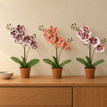 Künstliches Orchideen-Trio (Phalaenopsis) – Raumbild, alle Teile zusammen
