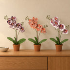 Künstliches Orchideen-Trio (Phalaenopsis) – Raumbild, alle Teile zusammen