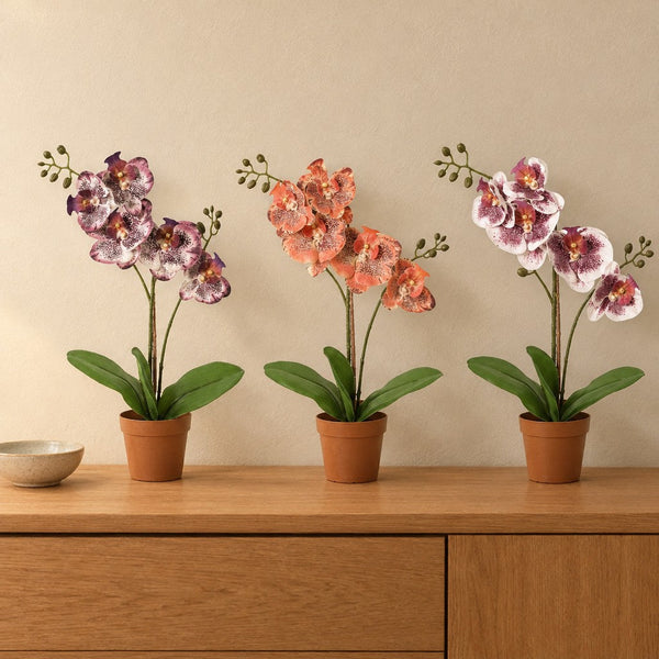 Künstliches Orchideen-Trio (Phalaenopsis)