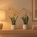 Künstliches Renanthera-Orchideen-Duo im Topf, Gelb-Orange und Rosa (Renanthera) – Raumbild, alle Teile zusammen