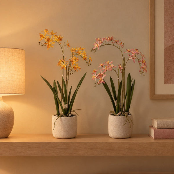 Künstliches Renanthera-Orchideen-Duo im Topf, Gelb-Orange und Rosa
