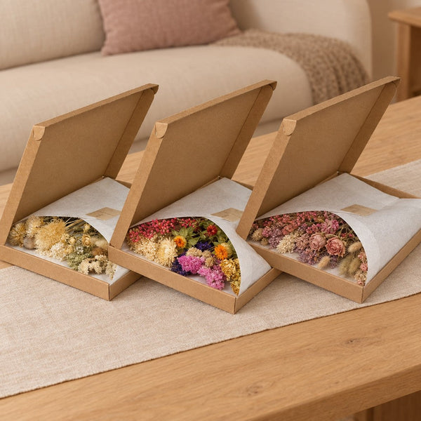 Trockenblumen-Trio »Letterbox« Natur, Mix und Rosa
