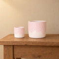 Übertopf Kolibri Home Bloom Rosa, Set Ø 6 und 12 cm – Raumbild, alle Teile zusammen