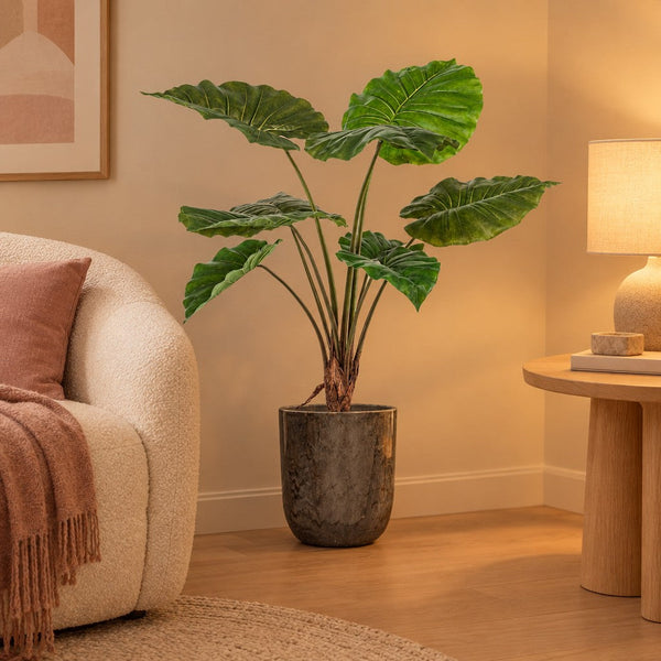 Künstliches Elefantenohr (Alocasia)