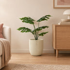 Künstliche Monstera (Monstera deliciosa), Löcherpflanze – Raumbild, ca. 85 cm, Übertopf nicht enthalten
