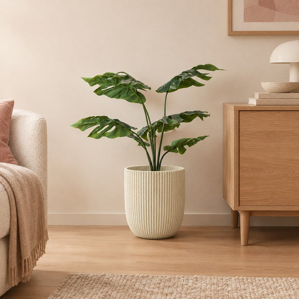 Künstliche Monstera (Monstera deliciosa), Löcherpflanze
