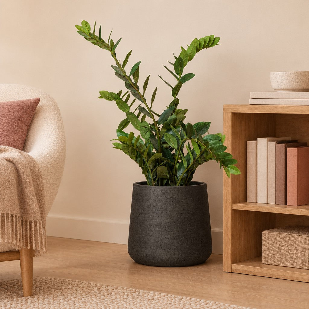 Künstliche Zamioculcas (Zamioculcas zamiifolia) – Raumbild, ca. 110 cm, Übertopf nicht enthalten