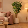 Künstlicher Ahornbaum (Acer) – Raumbild, ca. 180 cm, Übertopf nicht enthalten