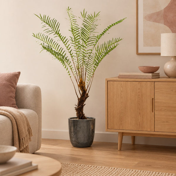 Künstlicher Baumfarn (Cyathea), Höhe ca. 125 cm