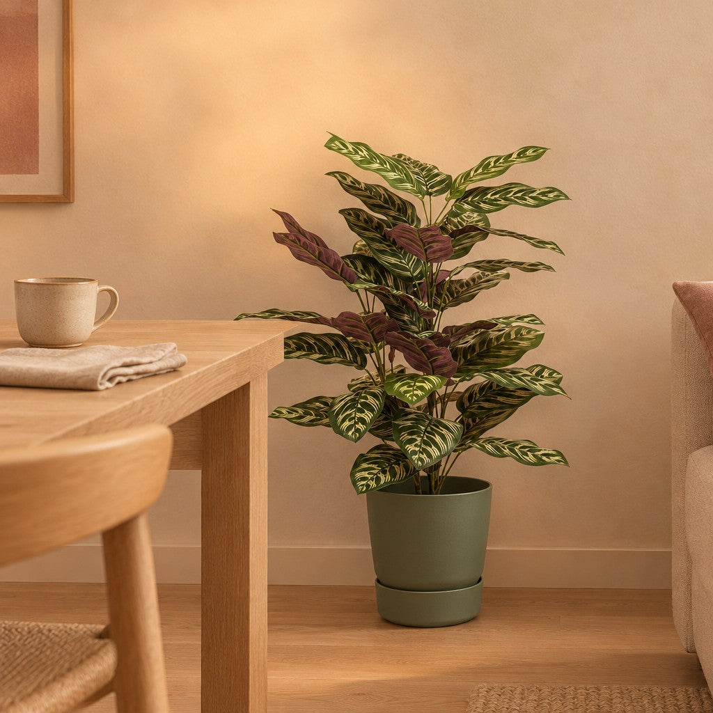 Künstliche Calathea, ca. 65 cm – Raumbild, Übertopf nicht enthalten