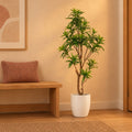 Künstlicher Drachenbaum (Dracaena) – Raumbild, ca. 155 cm, Übertopf nicht enthalten