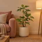 Künstlicher Feigenbaum mit Früchten (Ficus carica), ca. 95 cm – Raumbild, Übertopf nicht enthalten