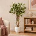 Künstlicher Ficus Liana (Ficus lyrata) – Raumbild, ca. 140 cm, Übertopf nicht enthalten