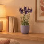 Künstlicher Lavendel (Lavandula), ca. 28 cm – Raumbild, Übertopf nicht enthalten