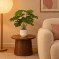 Künstliche Monstera im weißen Topf (Monstera deliciosa), ca. 50 cm – Raumbild