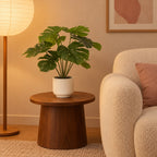 Künstliche Monstera im weißen Topf (Monstera deliciosa), ca. 50 cm – Raumbild