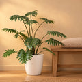 Künstlicher Philodendron (Philodendron selloum) – Raumbild, ca. 80 cm, Übertopf nicht enthalten