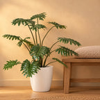 Künstlicher Philodendron (Philodendron selloum) – Raumbild, ca. 80 cm, Übertopf nicht enthalten