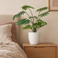 Künstlicher Philodendron (Philodendron selloum) – Raumbild, ca. 60 cm, Übertopf nicht enthalten
