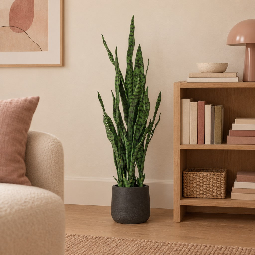 Künstliche Sansevieria Black Coral (Sansevieria trifasciata 'Black Coral'), ca. 97 cm – Raumbild, Übertopf nicht enthalten