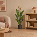 Künstliche Strelitzie mit Blüten (Strelitzia reginae), Höhe ca. 120 cm – Raumbild, so könnte es aussehen: mit Übertopf elho B.for soft Anthrazit, Ø 18 cm (separat erhältlich), Übertopf nicht enthalten