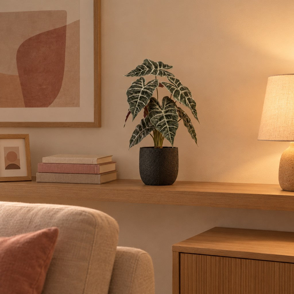 Künstliche Alocasia Busch, Höhe ca. 40 cm – Raumbild, so könnte es aussehen: mit Übertopf Capi Nature Skin Bol, Ø 14 cm, Anthrazit (separat erhältlich), Übertopf nicht enthalten