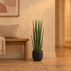 Künstliche Sansevieria (Sansevieria cylindrica), Höhe ca. 70 cm – Raumbild, so könnte es aussehen: mit Übertopf Capi Nature Skin Bol, Ø 17 cm, Anthrazit (separat erhältlich), Übertopf nicht enthalten