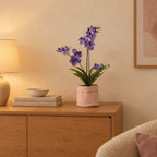 Pflanztasche »Plantbag« Altrosa – Raumbild, so könnte es aussehen: mit Künstliche Vanda-Orchidee, Lila, Höhe ca. 60 cm (separat erhältlich), Pflanze nicht enthalten, Ø 14 cm