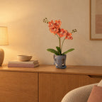 Übertopf Elefant, Höhe ca. 12 cm, Grau – Raumbild, so könnte es aussehen: mit Künstliche Phalaenopsis-Orchidee Orange, Höhe ca. 42 cm (separat erhältlich), Pflanze nicht enthalten