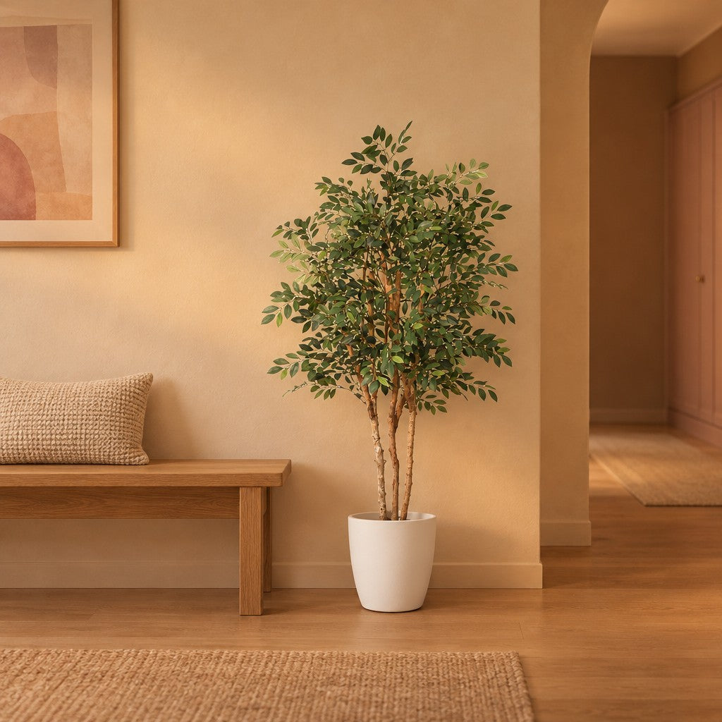 Übertopf elho Brussels Round Weiß – Raumbild, so könnte es aussehen: mit Künstlicher Ficus Exotica (Ficus benjamina), Höhe ca. 150 cm (separat erhältlich), Pflanze nicht enthalten, Ø 30 cm