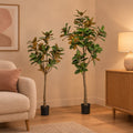 Künstliche Magnolie (Magnolia grandiflora), Set aus 2 Bäumen, Höhe ca. 150 und 180 cm – Raumbild, alle Teile des Sets zusammen