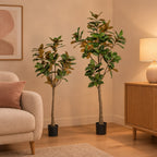 Künstliche Magnolie (Magnolia grandiflora), Set aus 2 Bäumen, Höhe ca. 150 und 180 cm – Raumbild, alle Teile des Sets zusammen