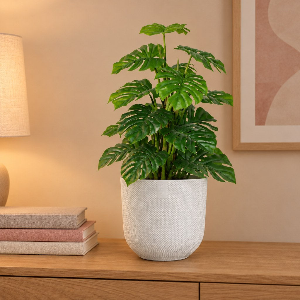 Künstliche Monstera Monkey Leaf (Monstera adansonii) mit Übertopf elho Jazz Round Weiß – Raumbild, alle Teile des Sets zusammen