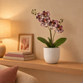 Künstliche Phalaenopsis-Orchidee Lila mit Übertopf elho Jazz Round Weiß – Raumbild, alle Teile des Sets zusammen