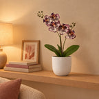 Künstliche Phalaenopsis-Orchidee Lila mit Übertopf elho Jazz Round Weiß – Raumbild, alle Teile des Sets zusammen