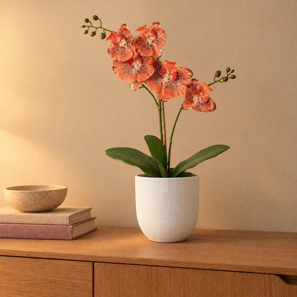 Künstliche Phalaenopsis-Orchidee Orange mit Übertopf elho Jazz Round Weiß