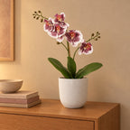 Künstliche Phalaenopsis-Orchidee Violett-Weiß mit Übertopf elho Jazz Round Weiß – Raumbild, alle Teile des Sets zusammen