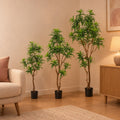 Künstlicher Drachenbaum (Dracaena), Set aus 3 Bäumen, Höhe ca. 130 / 155 / 190 cm – Raumbild, alle Teile des Sets zusammen