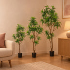 Künstlicher Drachenbaum (Dracaena), Set aus 3 Bäumen, Höhe ca. 130 / 155 / 190 cm – Raumbild, alle Teile des Sets zusammen