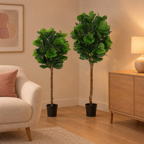 Künstlicher Geigenfeigenbaum (Ficus lyrata), Set aus 2 Bäumen, Höhe ca. 160 und 180 cm