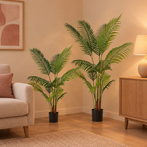 Kunstpalme Kentia (Howea forsteriana), Set aus 2 Palmen, Höhe ca. 140 und 160 cm
