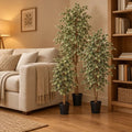 Künstliche Birkenfeige Variegata (Ficus benjamina), Set aus 3 Bäumen, Höhe ca. 85 / 160 / 185 cm – Raumbild, alle Teile des Sets zusammen