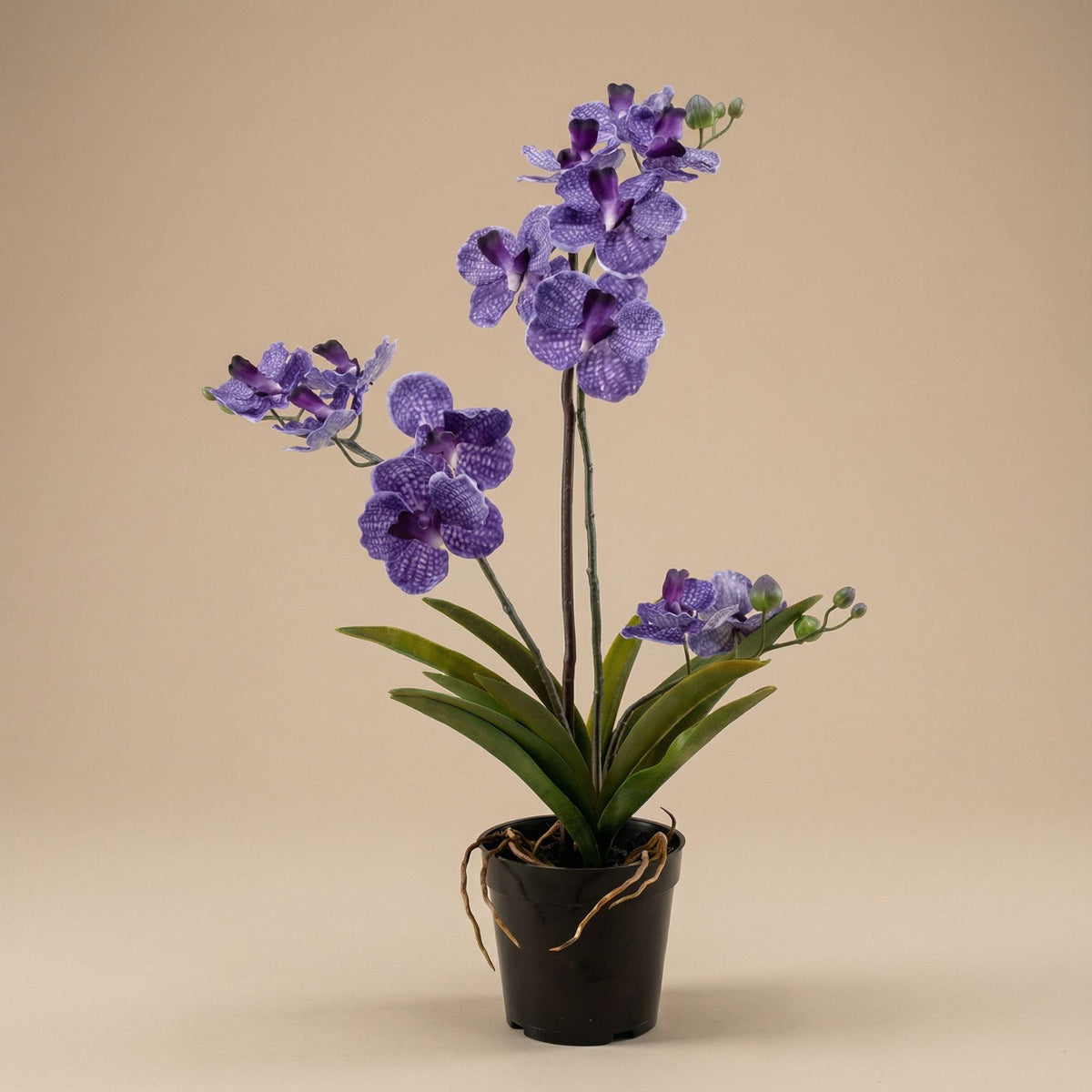 Künstliche Vanda-Orchidee, Lila, ca. 60 cm – Produktfoto
