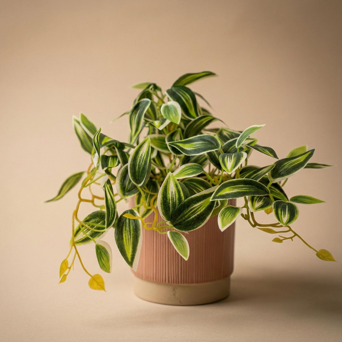 Künstliche Tradescantia, ca. 19 cm, Grün-Weiß – weitere Ansicht