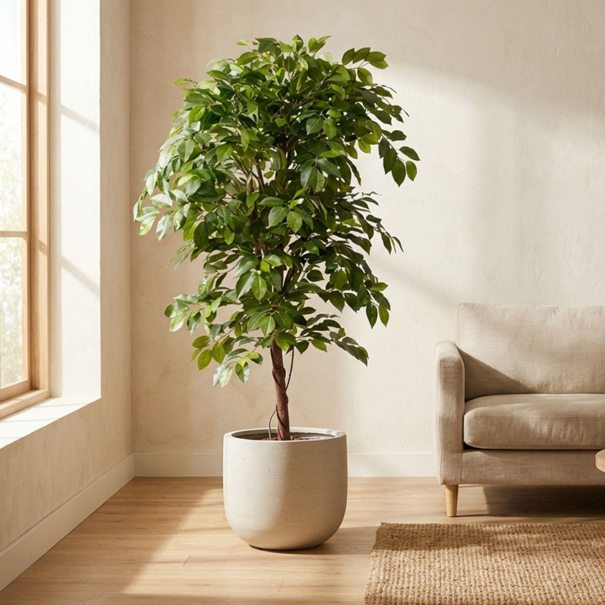 Künstlicher Ficus »Deluxe Vine«, ca. 140 cm – weitere Ansicht
