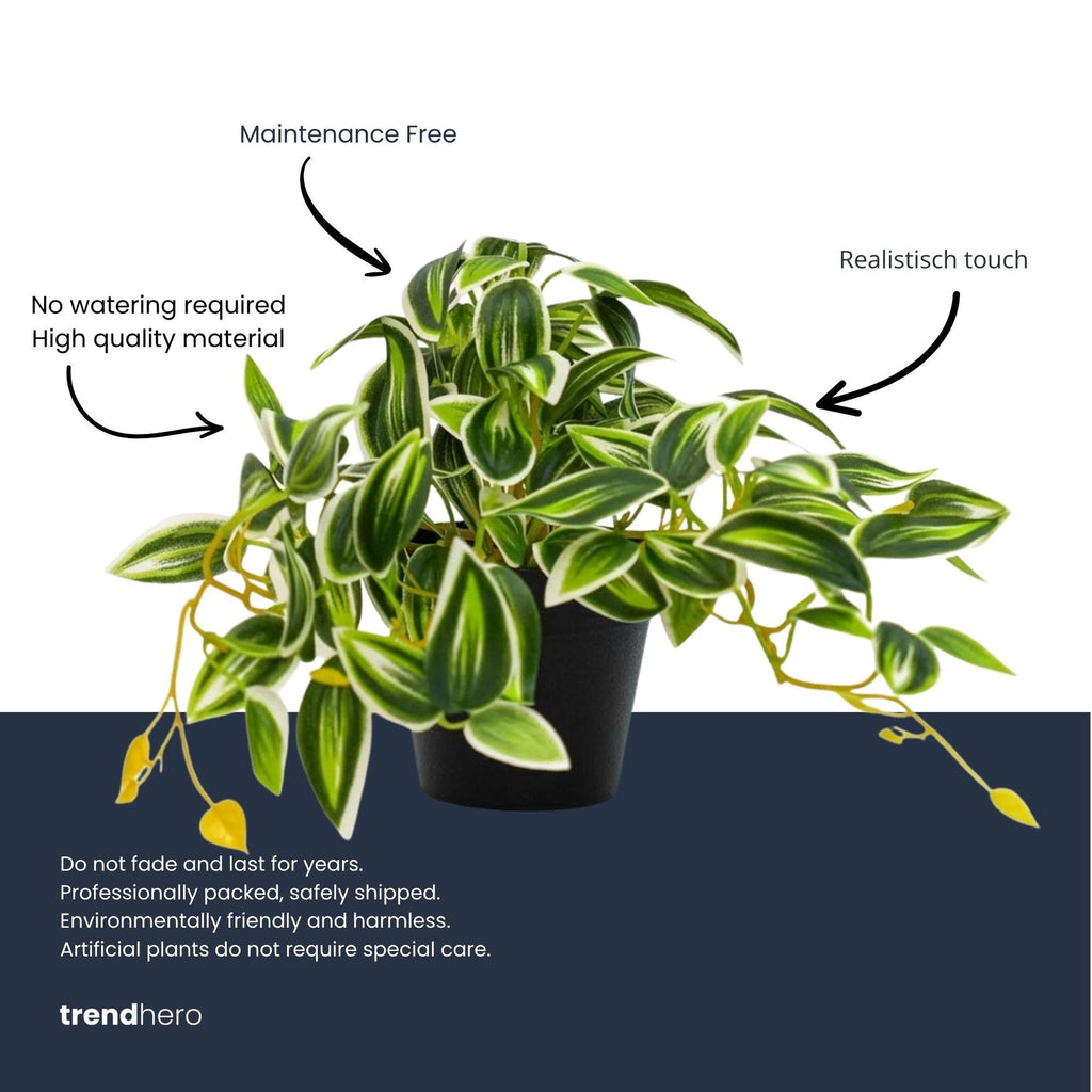 Künstliche Tradescantia, ca. 19 cm, Grün-Weiß – Ansicht 5