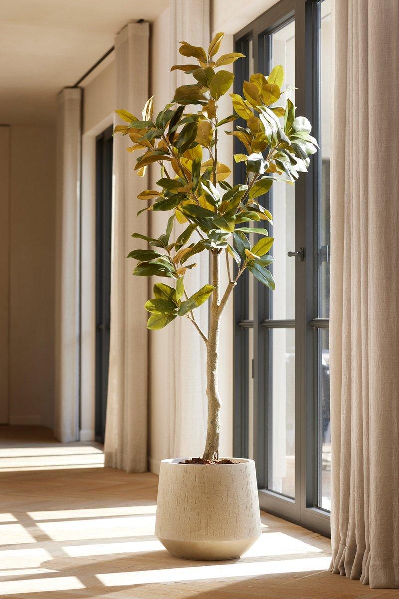 Künstlicher Magnolienbaum Weiß, ca. 150 cm – Detailansicht