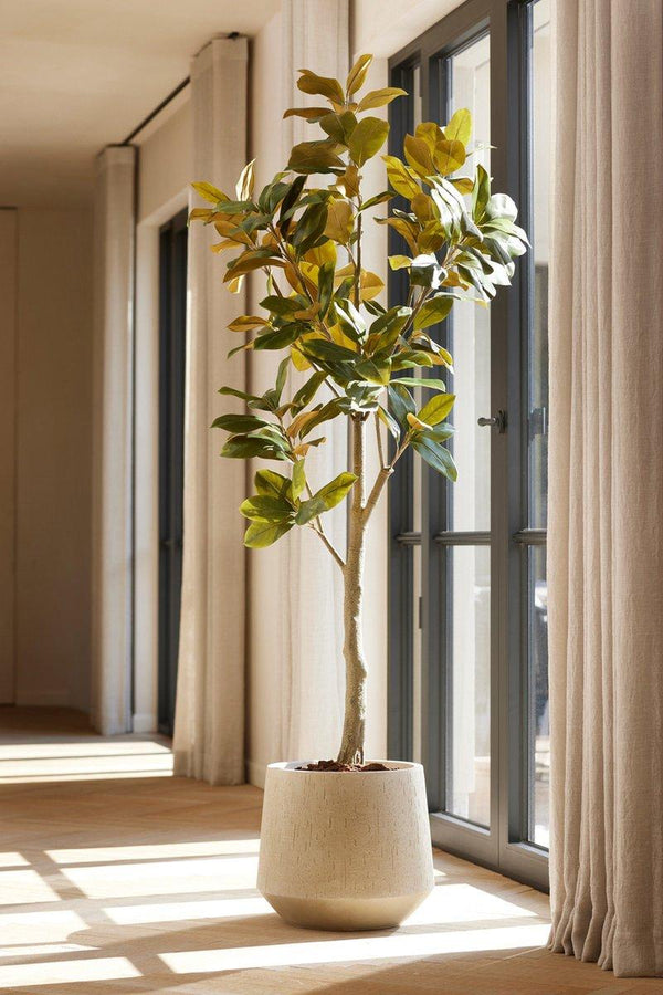 Künstlicher Magnolienbaum Weiß (Magnolia), Höhe ca. 150 cm